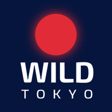 Wild Tokyo Casino HU